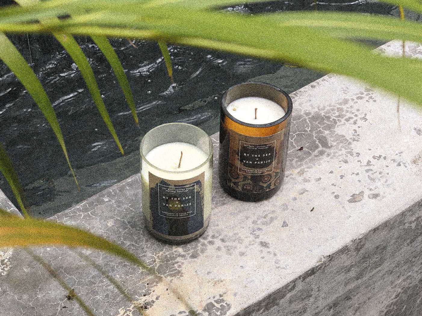 By the sea candles behind palm leaves next to a pool